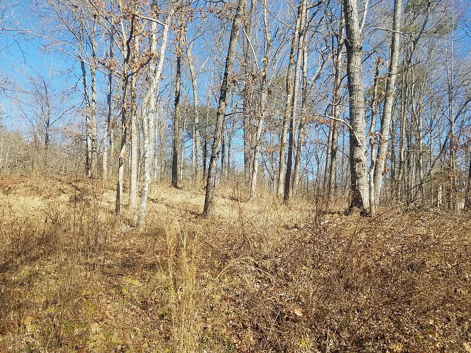 1st image of White St