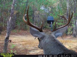 County Road 3230, Quitman, TX 75783