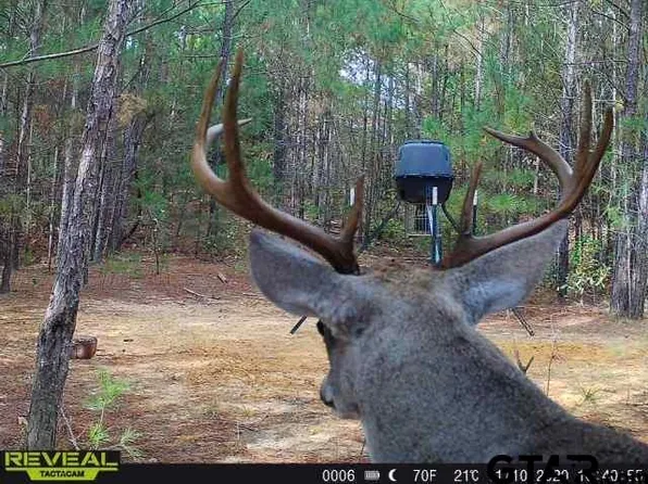 County Road 3230, Quitman, TX 75783
