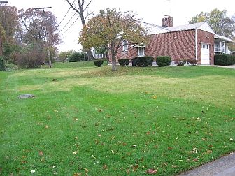 Back yard plus big side yards