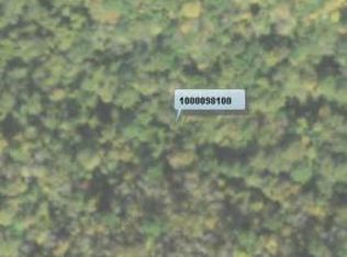 3555 Woodyard Hill Rd, Chesterhill, OH 43728