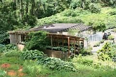 Shade house also showing double kennel