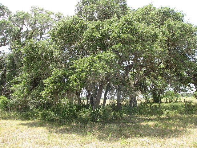 1st image of 000 County Road 12
