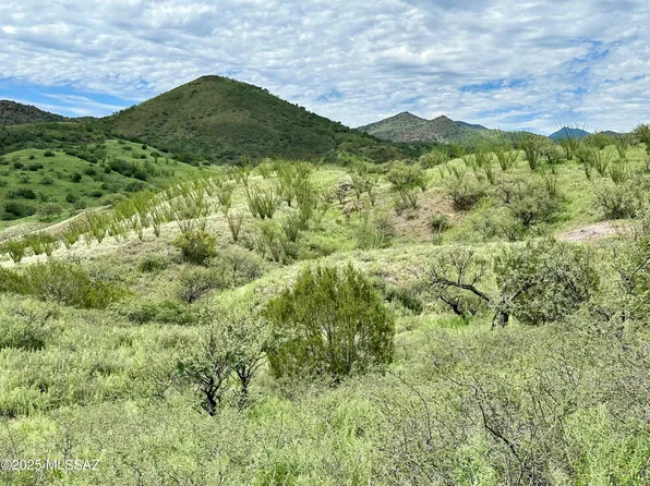 0 Proctor Ln #2, Patagonia, AZ 85624