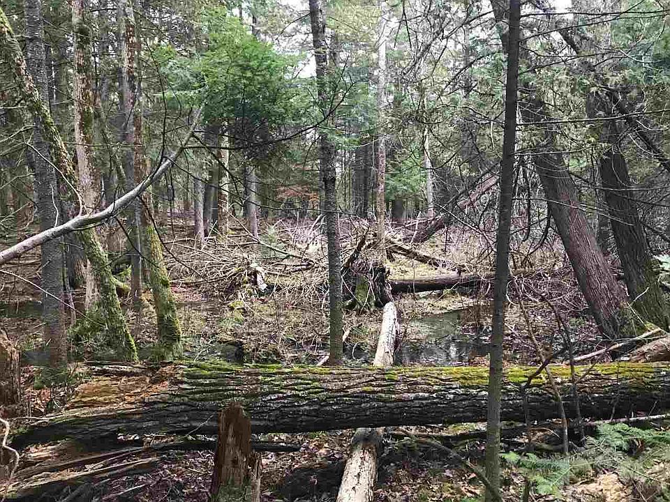 2nd image of 3600 Elder Rd