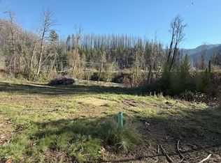 91241 Blue River Rd, Blue River, OR 97413