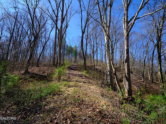 3rd image of 3212 Long Hollow Rd