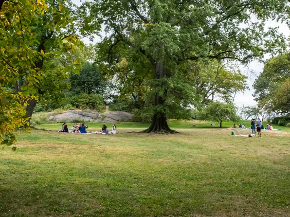 50 West 77th Street image 28 of 31