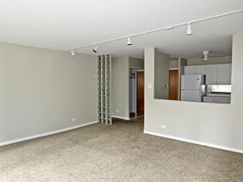 5th image of 211 E Ohio St APT 1510