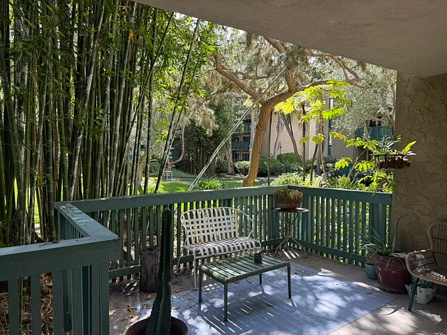 View from Living Room