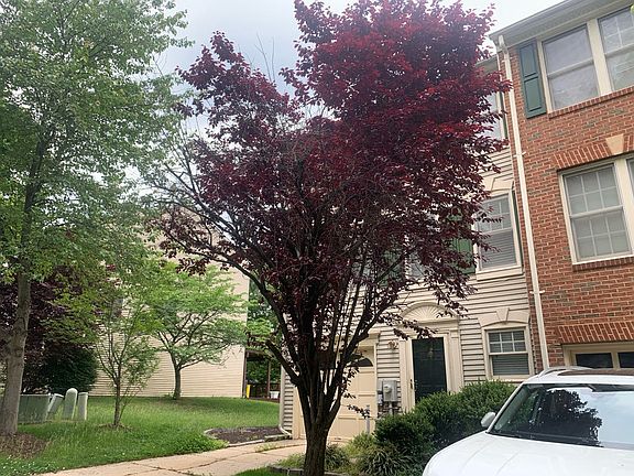2nd image of 3512 Hammerstone Rd