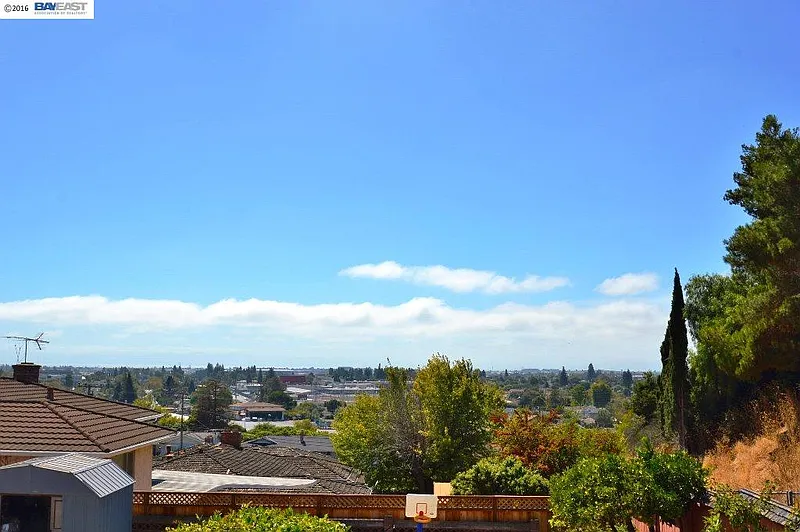 Thumbnail 16