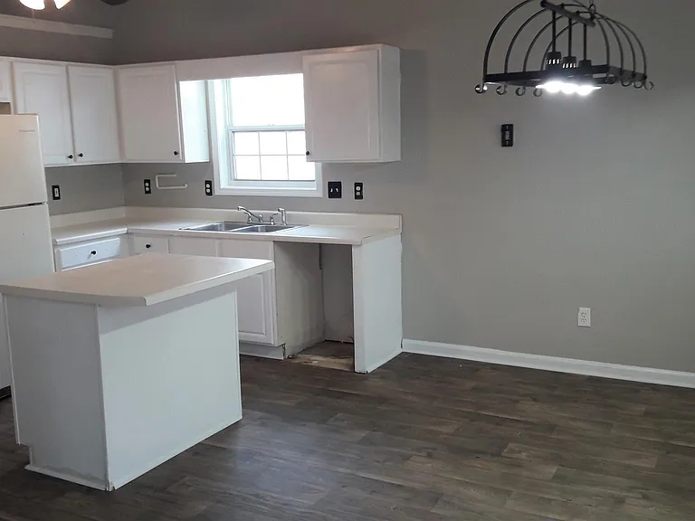 456 Suwanee East Dr — Photo 6