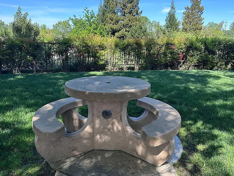 Ridgestone Villas - 870 Mission Sierra — Photo 113