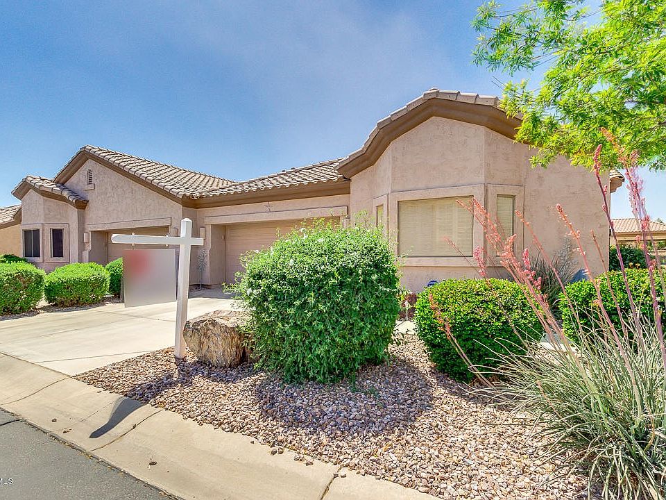 01-Desert Willow