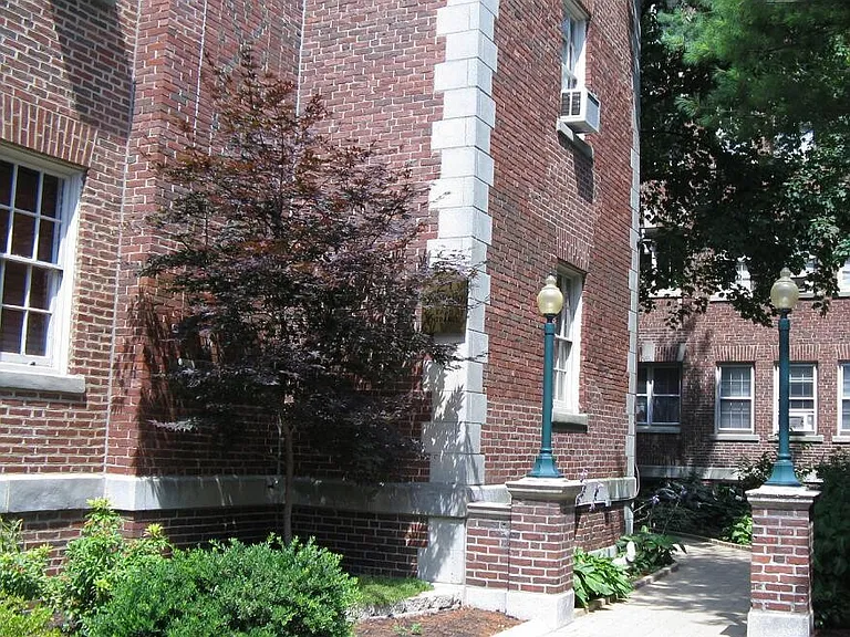 21 Chauncy St #4 — Photo 6