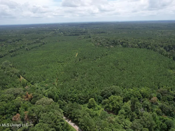 Smith County Rd, Raleigh, MS 39153