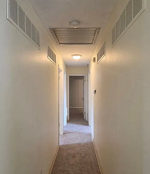 11864 Featherwood Dr — Photo 13