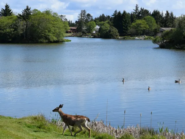 658 Mount Olympus Ave SE, Ocean Shores, WA 98569