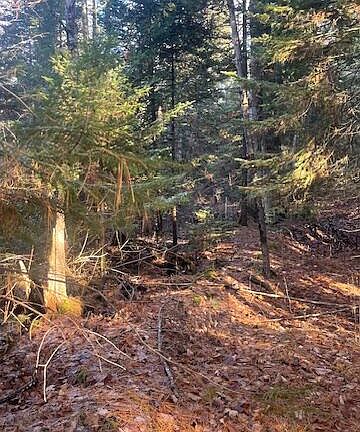 5th image of W 638th Hwy