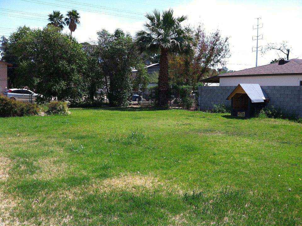 Yard (and buit-in dog house)