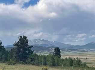 1148 Redhill Rd, Fairplay, CO 80440