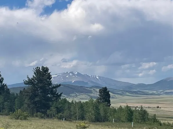 1148 Redhill Rd, Fairplay, CO 80440