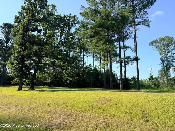 Lake Springwater Dr, Brandon, MS 39042