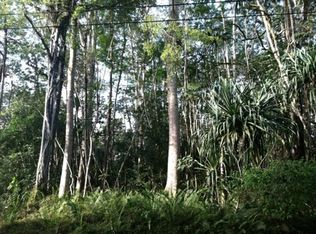 Oio St LOT 1457, Pahoa, HI 96778