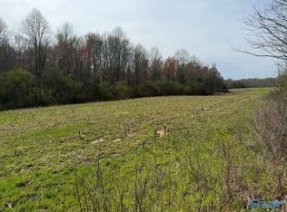 14.1 County Road 62, Section, AL 35771