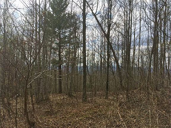 2nd image of Chestnut Ridge
