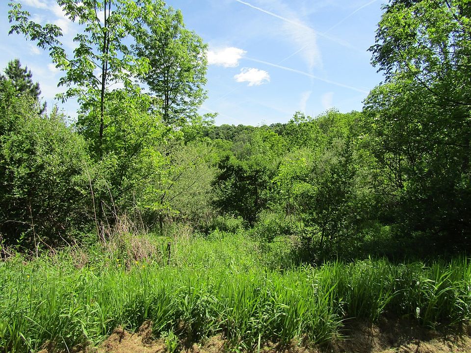 2nd image of 1779 Packard Rd