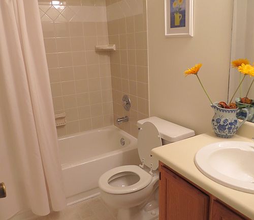 5th image of 600 Audubon Lake Dr APT 6B31
