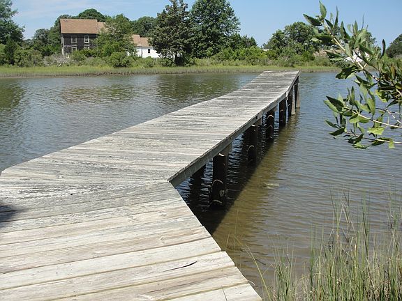 Dock by the clearing