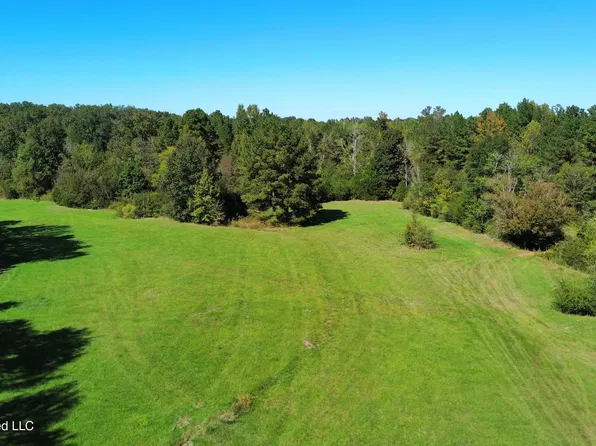 Midway Rd, Lena, MS 39094