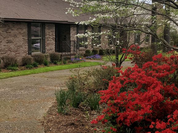 3rd image of 2802 Mockingbird Ln