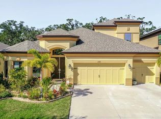 13715 Moonstone Canyon Dr, Riverview, FL 33579