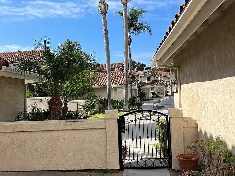 7125 Caminito Pantoja — Photo 6