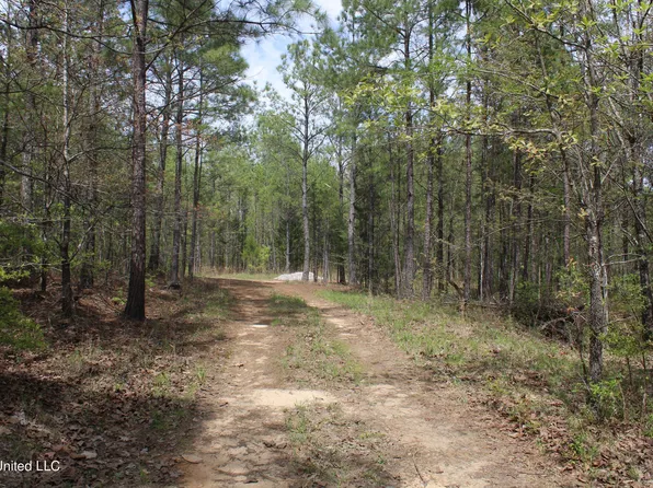 5200 Blackjack Rd, Ashland, MS 38603