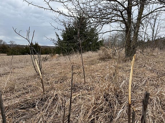 3rd image of 11201 S Adams Rd #11699