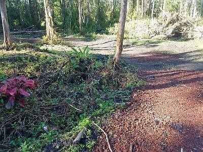 1st image of Hibiscus Cir Lot 425