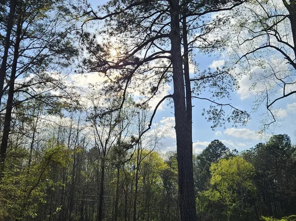 0 Shiloh Rd, Greensboro, GA 30642