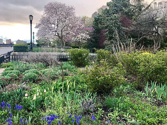 Rented by Oxford Property Group | media 27