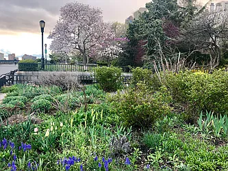 Rented by Oxford Property Group