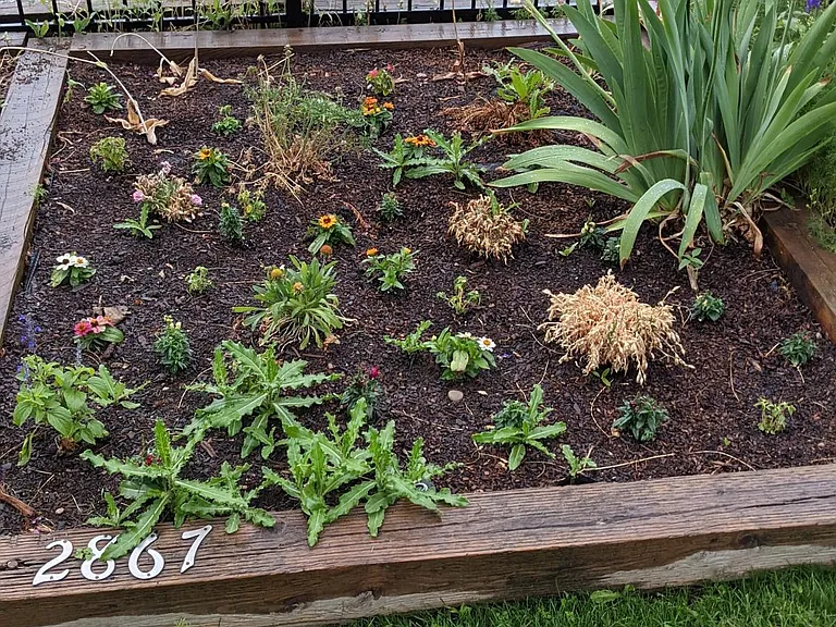 Garden plot