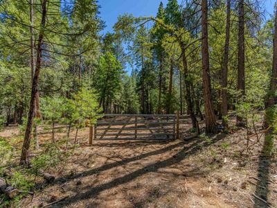 19434 Cherokee Ln, Volcano, CA, 95689