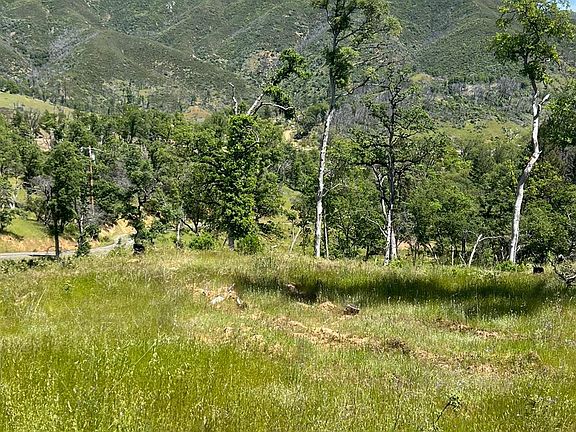 3rd image of 12609 Elk Mountain Road