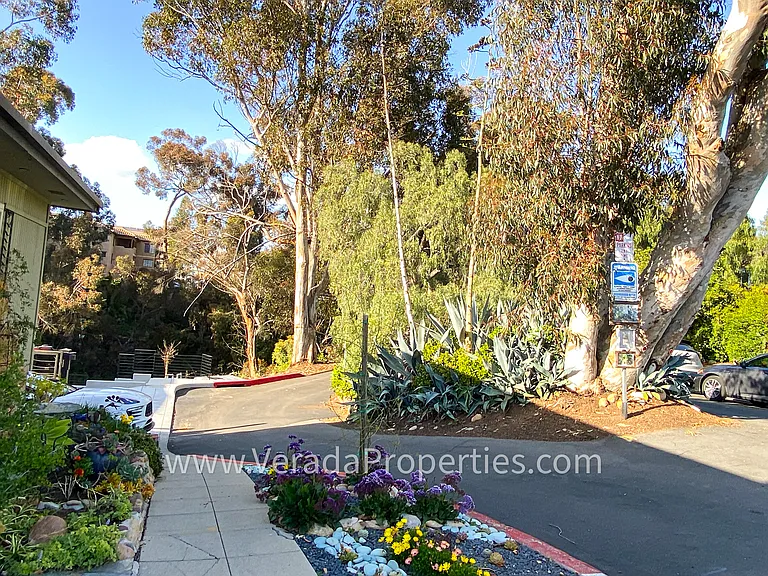 3832 Albatross St #B — Photo 30
