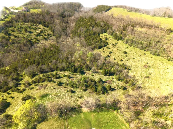 27.28 Acre Hwy #467, De Mossville, KY 41033