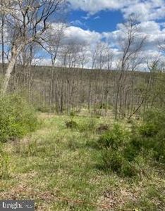 LOT 18 Warden Lake Holw, Wardensville, WV, 26851
